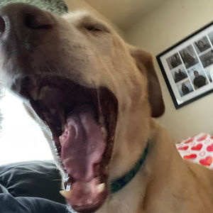 Meet your Posher, Jenna